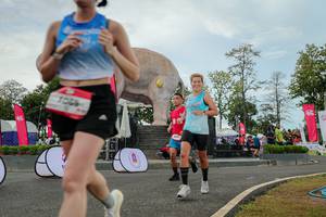 BIB: 
                            <button type="button" onclick="openModal(26528813)" class="btn btn-primary btn-sm float-right btn-popup" data-toggle="modal" data-target=".modal-high-quality">
                        <i class="fas fa-shopping-cart"></i> Add to Cart
                    </button>
                                            <button type="button" onclick="isThisMe(26528813, true)" class="btn btn-success btn-sm float-right btn-popup btn-isme hidden" data-toggle="tooltip" data-placement="bottom" title="นี่คือรูปของคุณใช่ไหม คลิกที่นี่เพื่อเอาเข้าอัลบั้ม">
                        <i class="fas fa-plus"></i> Add to album
                    </button>
                    <button type="button" onclick="isThisMe(26528813, false)" class="btn btn-warning btn-sm float-right btn-popup btn-isnotme hidden">
                        <i class="fas fa-ban"></i> Remove from album
                    </button>